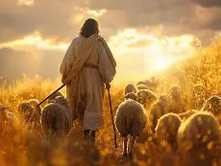 Pastor's Reflection - June 21, 2026