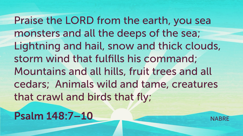 Pastor's Reflection - June 14, 2026