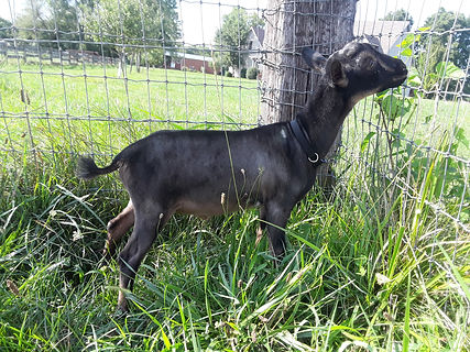 20200803_170556.jpg