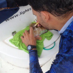 Creando Conciencia, Pescador por Pescador: Un Resumen de Nuestros Talleres de Mero en 2025