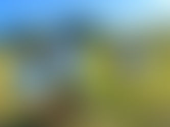 What is a BioBlitz—and Why It Matters