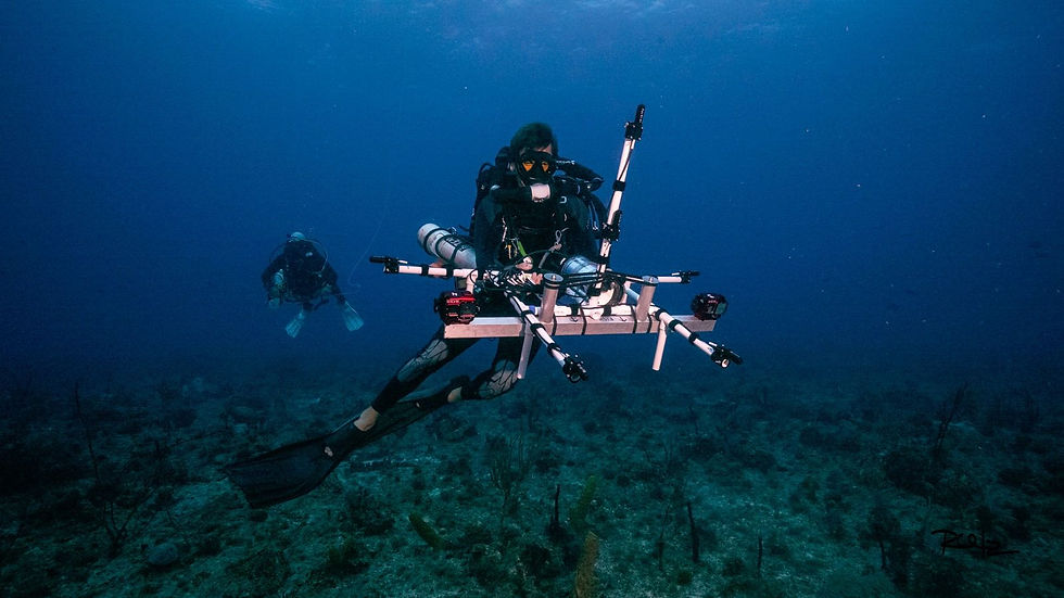 WhatsApp Image 2026-02-15 at 14.32.06.jpeg