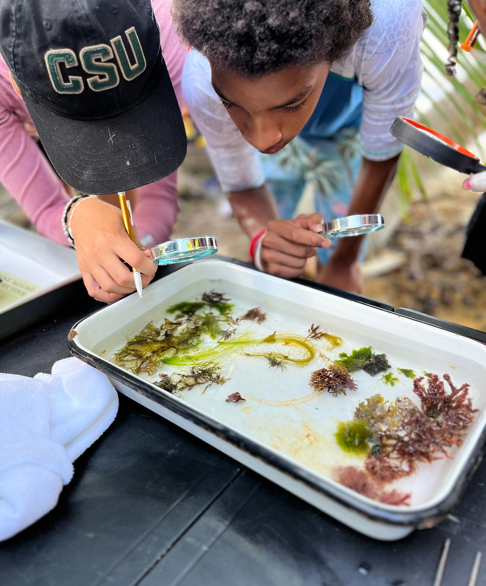 WhatsApp Image 2024-10-12 at 20.19.54.jpeg