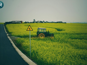 Uncovering Institutional Visibility in African Agricultural Policy: How RuleWatcher Transforms Policy Visibility