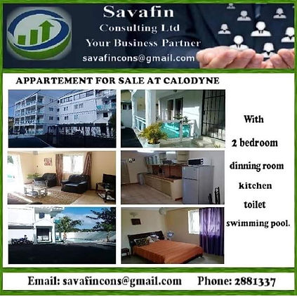 calodyne appartment.jpg