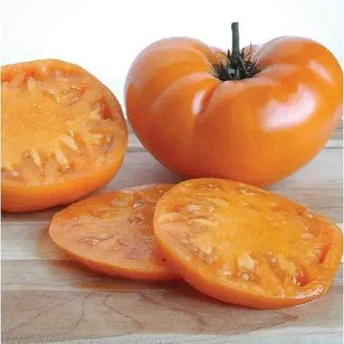 Tomato KELLOGG’S BREAKFAST Beefsteak Indeterminate Heirloom Non-GMO USA 30 Seeds