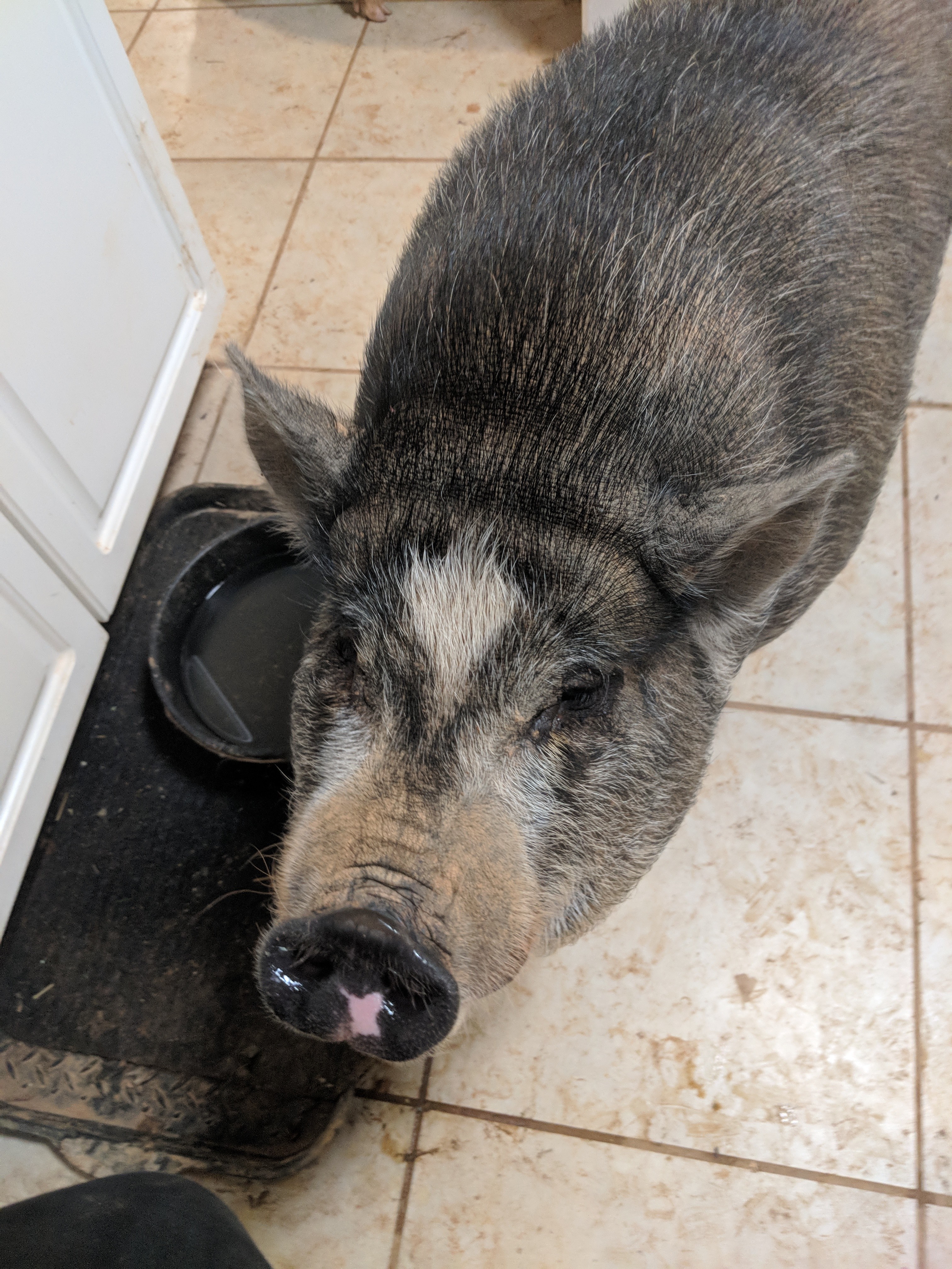 Minnie Pearl