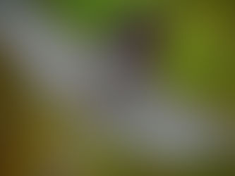 Have faith in Poetry