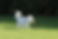 71672463_10156806169687842_8773674538463395840_o_edited.jpg