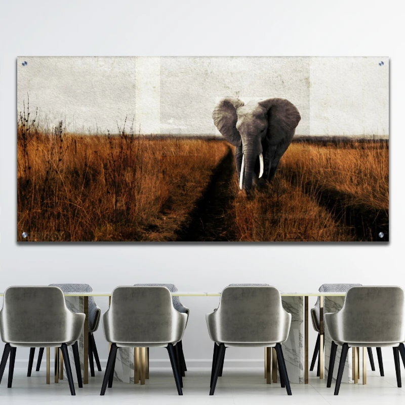פיל בשדה הרחב - הדפס לרוחב על קנבס או זכוכית לסלון או לחדר שינה דגם 134927