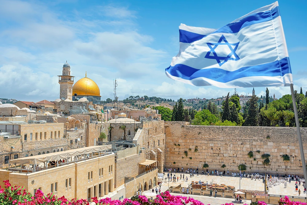 תצוגה נוספת 3