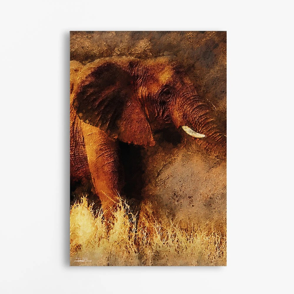 תמונה בצבע  לחדר שינה פיל במדבר ציור בסגנון בעלי חיים - דגם alvtm46p2291