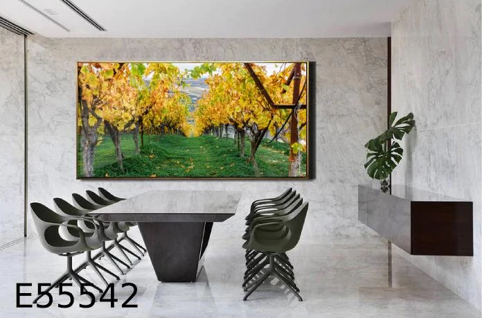 מאחורי היער תמונה נוף למשרד E55542