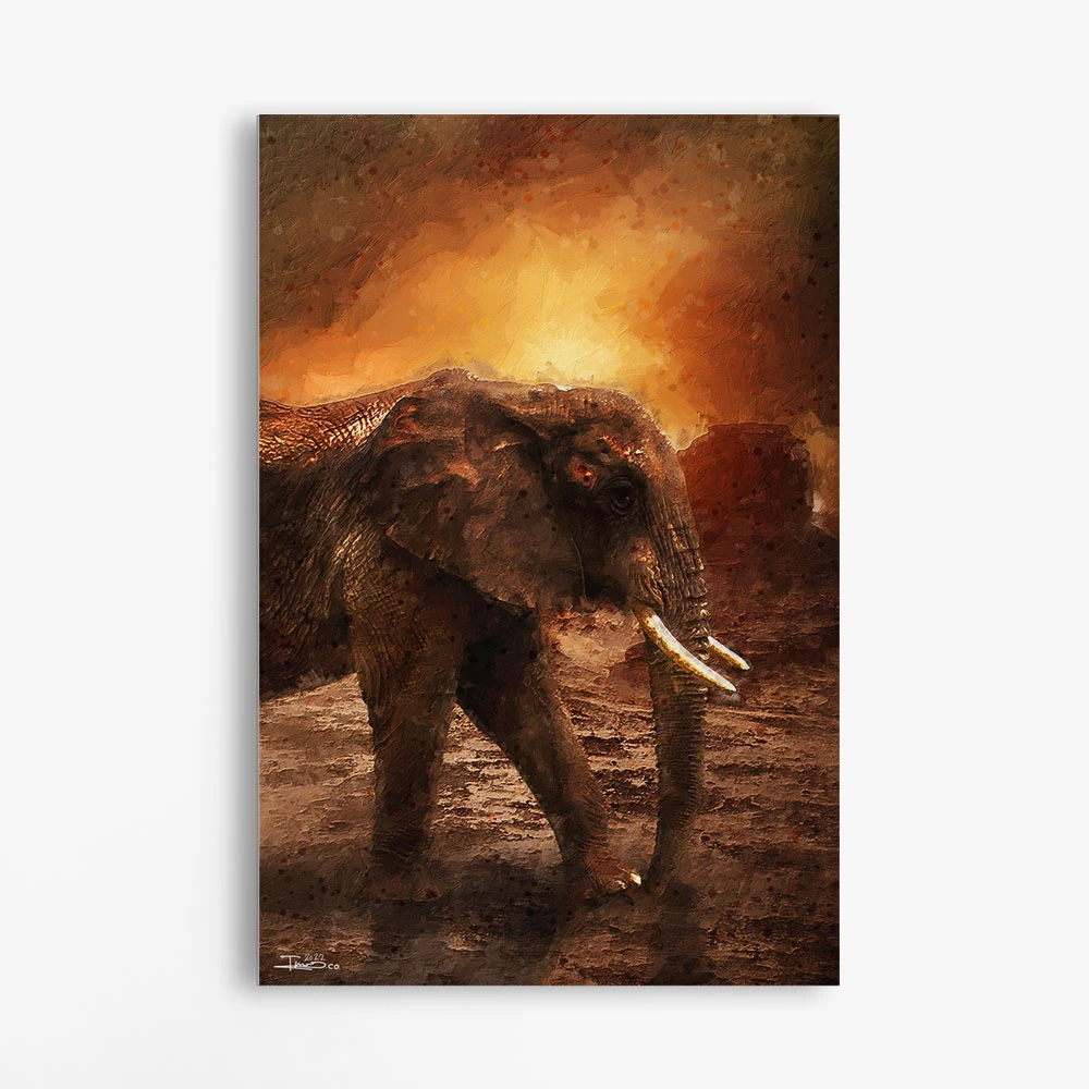 תמונה בצבע כתום למשרד פיל בלילה ציור בסגנון בעלי חיים - דגם alvtm46p2288