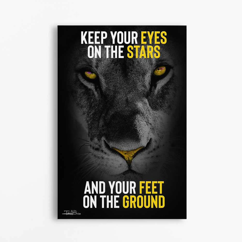 תמונה מוטיבציה והשראה למשרד Keep Your Eyes on the stars and your feet on the ground הדפסה על קנבס מוטיבציה - דגם alvtm46p2611