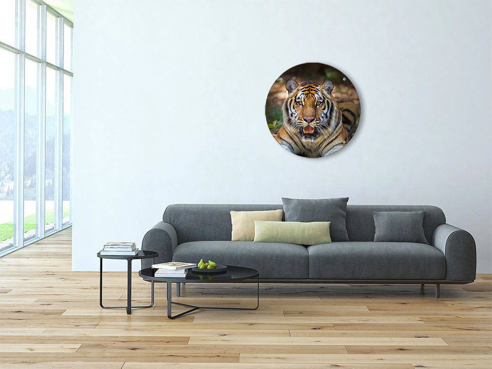 הדפסת תמונה על זכוכית עגולה, קוטר 60