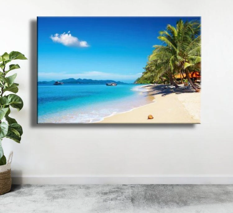 קנבס חוף קופיפי