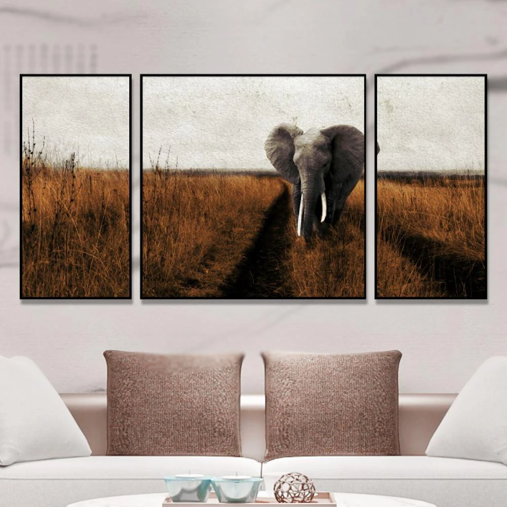 מלכת הפילים - הדפס של פיל עוצמתי על קנבס או על זכוכית לסלון או לקליניקה או למשרד דגם 134927