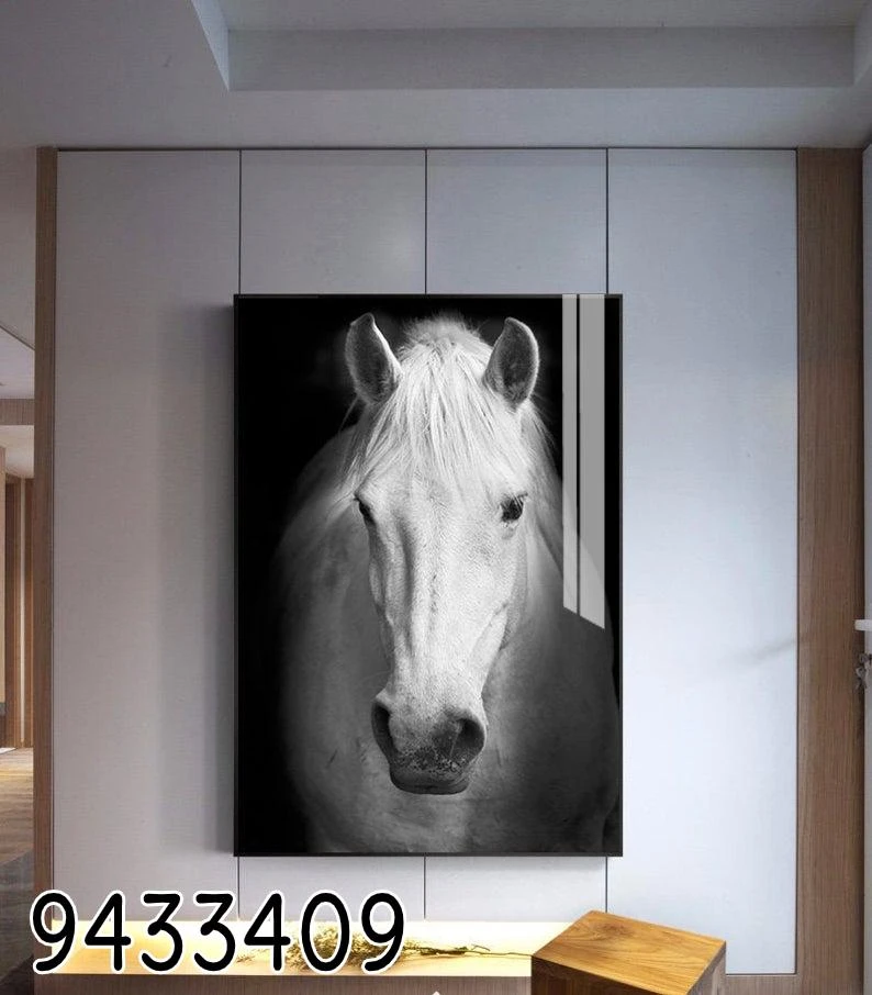 תמונה של סוס לבן יפה - תמונת זכוכית בגווני שחור לבן דגם 9433409