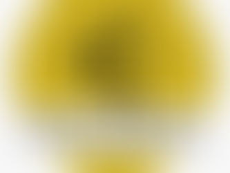 Saving Lives from Above: The Vital Role of Drones in Search and Rescue Operations