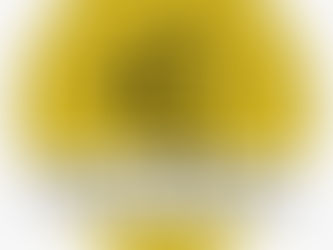 Capturing the World from Above: The Rise of Aerial Photography and Videography with Drones