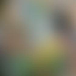 baby shower decor at casalina