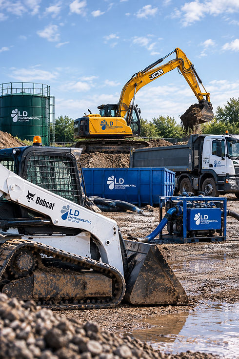 ld-plant-pic.jpg