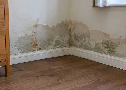 rising damp inside house.jpg