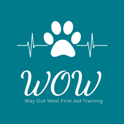 Pet First Aid Level 2
