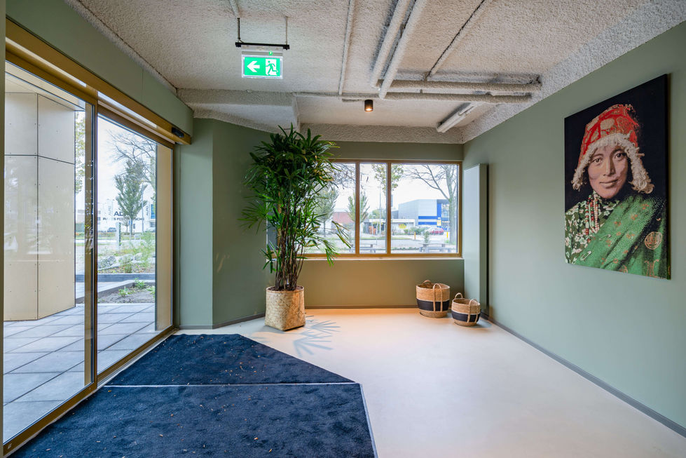 plnt amsterdam voor bamboo offices haarlem