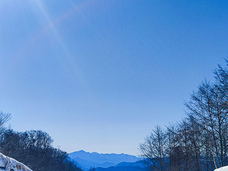 お久しぶりです！