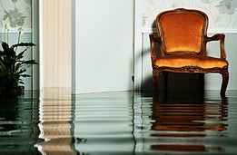 flooded house mold inspection water dama