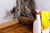 mold removal cleaning Delray Beach.jpg