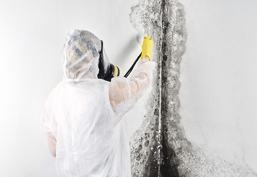 mold remediation inspection west palm beach.jpeg