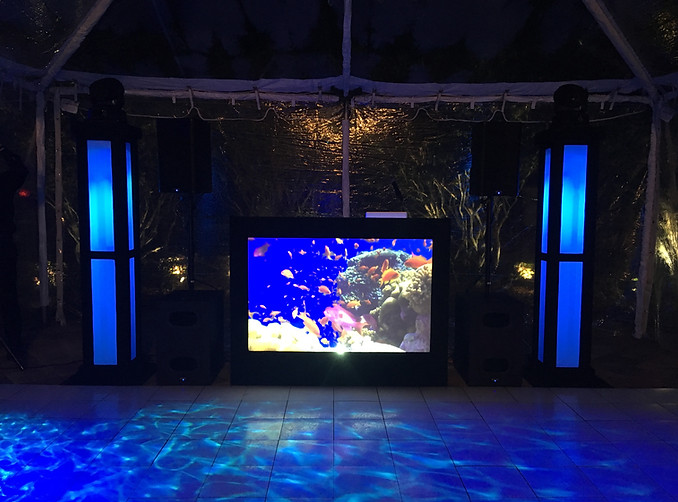 Under the sea themed event, Brett Brisbois Events DJ