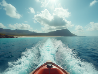 Simple Ways to Book Custom Galápagos Tours: Your Guide to an Unforgettable Adventure