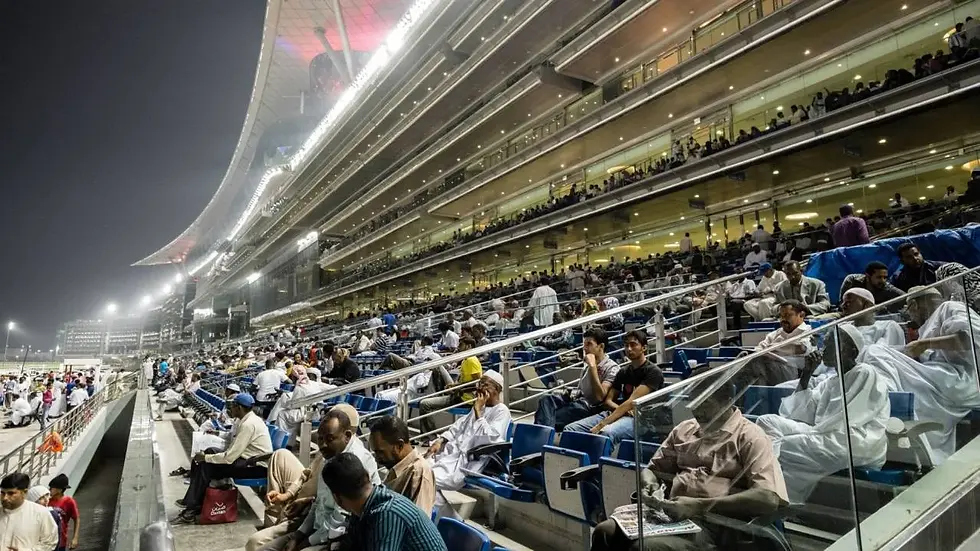 2026 Dubai World Cup The Gallery.webp