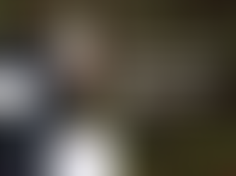 Press Release The Human Array