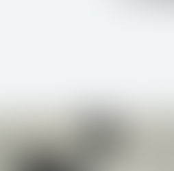 La miseria de las cosas de Dimitri Verhulst