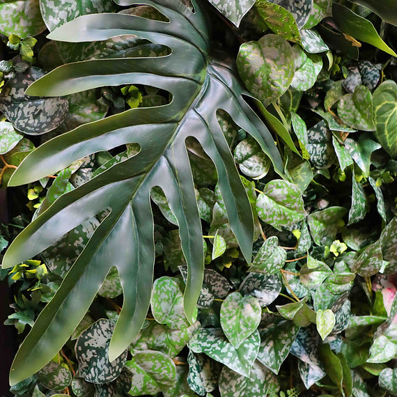 Homepage banner Groenwand button.jpg