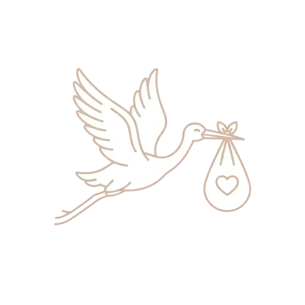 storch.png