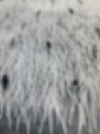 Feathered Whisper