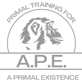 APE Logo 928x240_edited_edited_edited.png