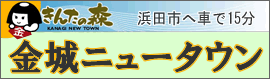 分譲土地 金城ニュータウン