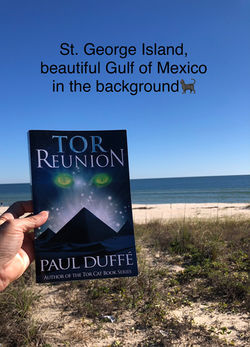 "Tor Reunion" at the Dr. Julian G. Bruce Saint George Island Beach State Park, Saint George Island, 