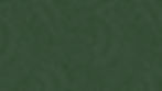 background green summit 2025.jpg
