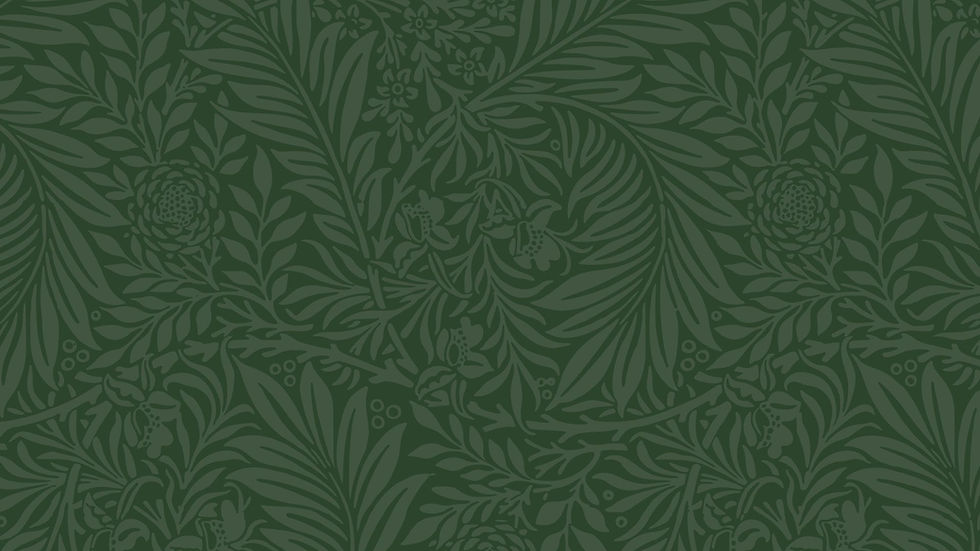 background green summit 2025.jpg