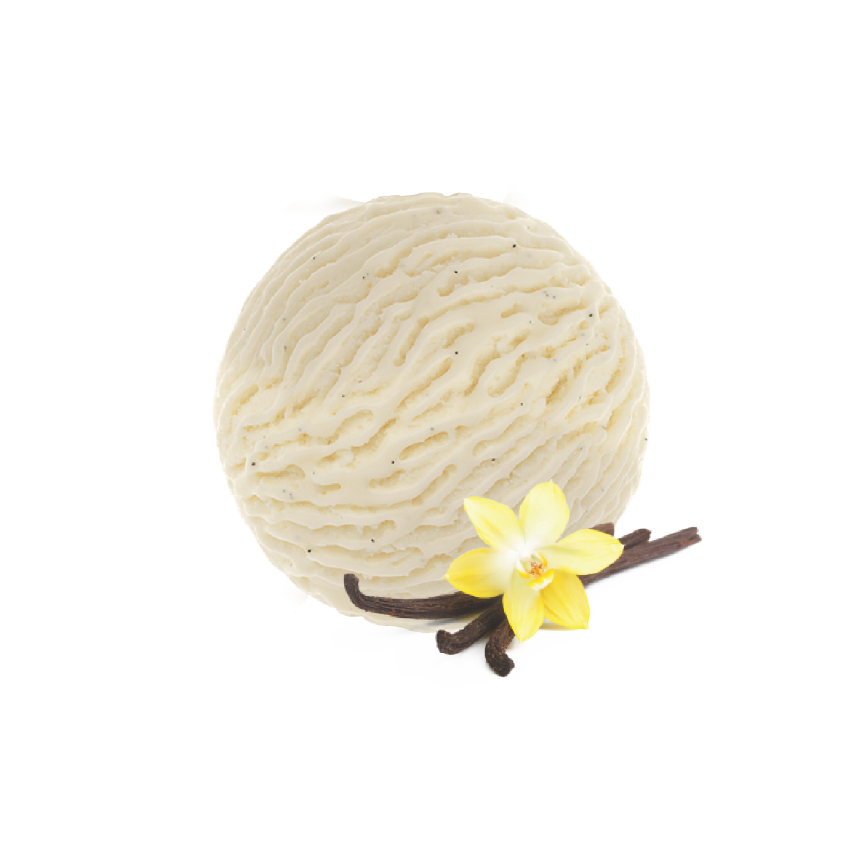 VANILLA