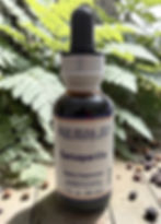 Sarsaparilla herbal extract bottle front label