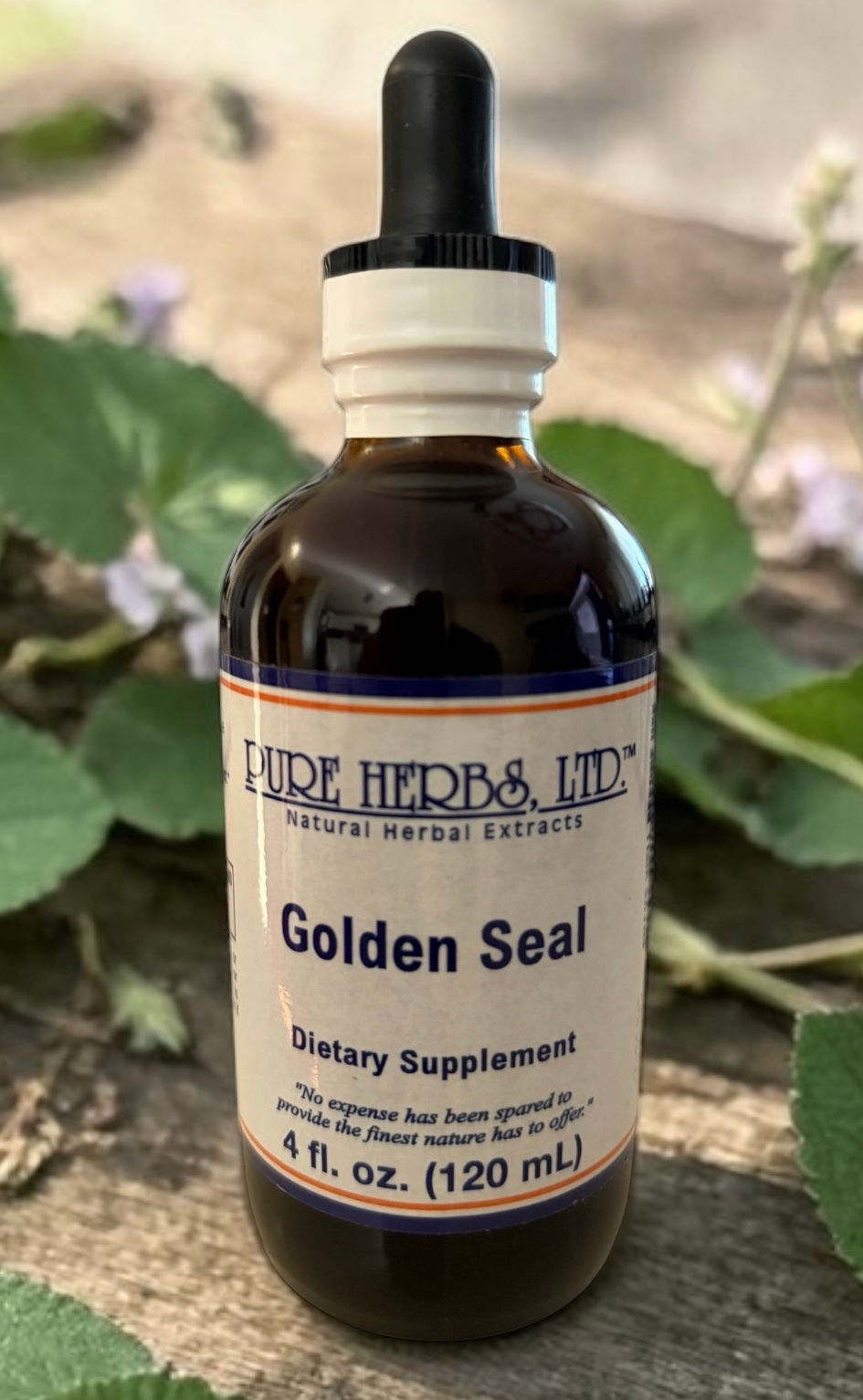 Goldenseal herbal extract bottle front view